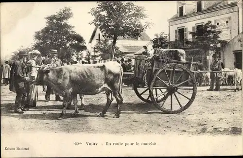 Ak Vichy Allier, En route pour le marche, boeufs