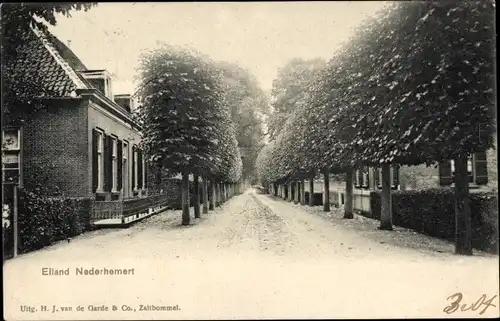 Ak Nederhemert Gelderland Niederlande, Straßenpartie, Allee