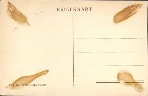 Ak Niederländische Kriegsschiffe, Torpedoboote