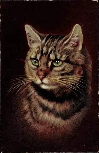Ak Katzenportrait, Braune Katze, Tierportrait, Hoffmann's Stärkefabriken