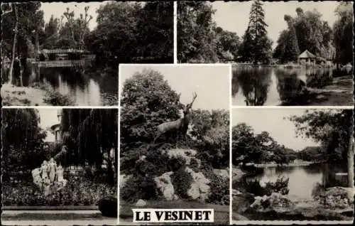 Ak Le Vésinet Yvelines, Les Lacs, Rond-Point du Grand Cerf