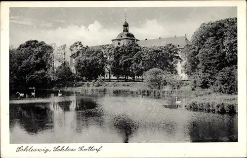Ak Schleswig an der Schlei, Schloss Gottorf, See, Schwäne