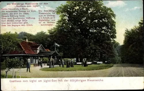 Ak Eutin, Gasthaus zum Uglei, am Uglei See, Straßengabelung mit Passanten, Rieseneiche