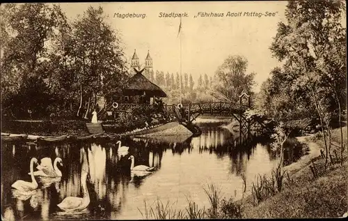 Ak Magdeburg an der Elbe, Stadtpark, Fährhaus Adolf Mittag See