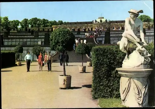 Ak Potsdam, Schloss Sanssouci, Terrassen