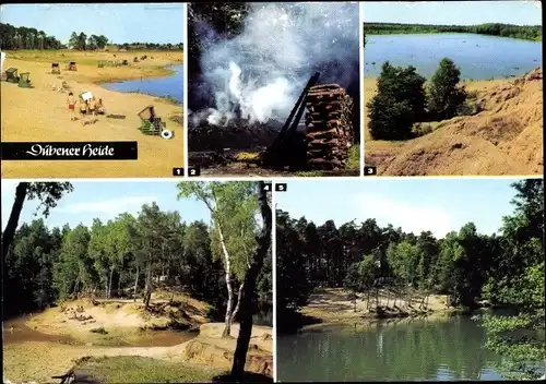 Ak Bergwitz Kemberg Dübener Heide, Bergwitzer See, Kohlenmeiler, Roter See, Friedrichsee, Königssee