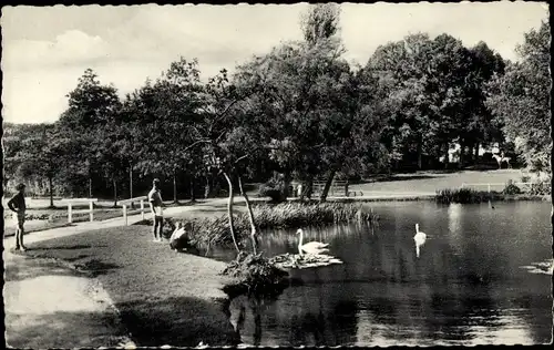 Ak Ostseebad Timmendorfer Strand, Kurpark, Schwäne, Teich