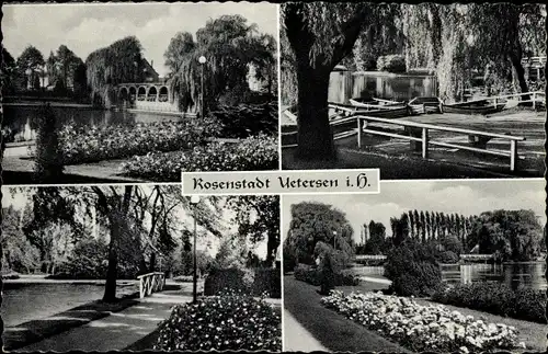 Ak Uetersen in Holstein, Im Rosarium