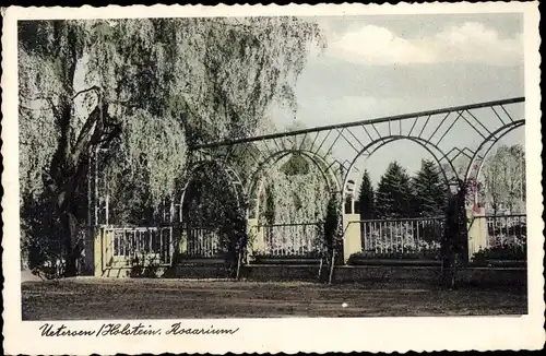 Ak Uetersen in Schleswig Holstein, Rosarium