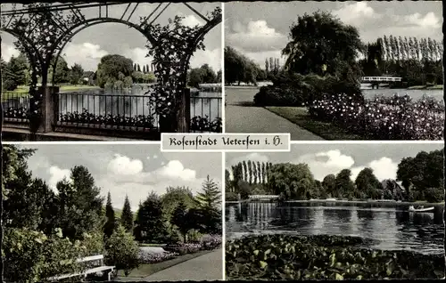 Ak Uetersen in Holstein, Im Rosarium