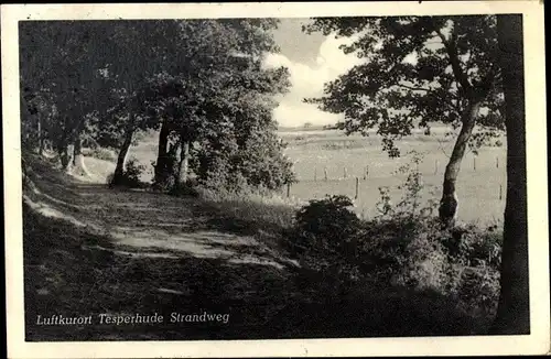 Ak Tesperhude Geesthacht an der Elbe, Strandweg