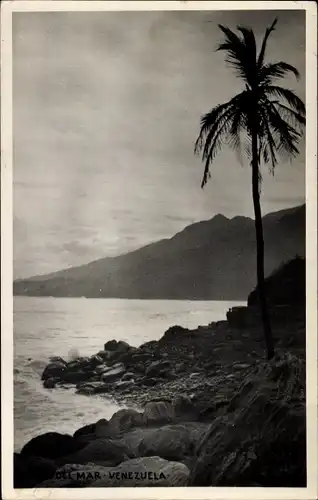 Foto Ak Venezuela, Strand, Küste, Palme