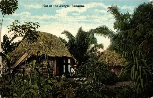 Ak Panama, Hut in the Jungle, Dschungel, Hütte, Palmen