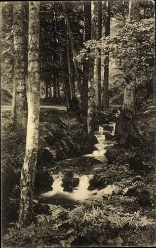 Ak Tabarz im Thüringer Wald, Felsental, Wasserfall, Stromschnellen