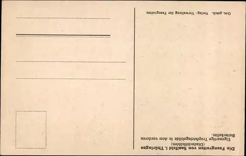 Ak Saalfeld an der Saale Thüringen, Feengrotten, Tropfsteingebilde, Diadochithöhlen