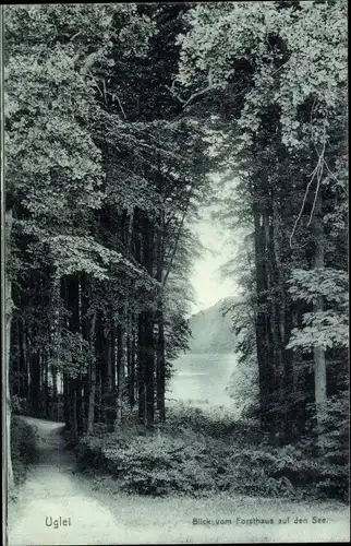 Ak Eutin in Ostholstein, Ukleisee, Uglei See, Blick vom Forsthaus auf den See, Waldschneise
