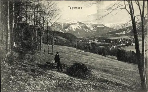 Ak Tegernsee in Oberbayern, Panorama