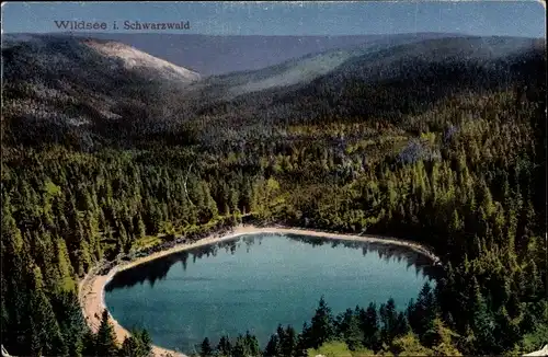 Ak Ruhestein Baiersbronn im Schwarzwald, Wildsee, Panorama