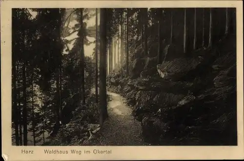 Ak Oker Goslar am Harz, Okertal, Waldhaus-Weg