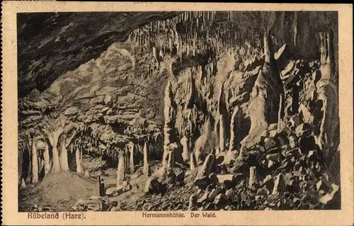 Ak Rübeland Oberharz am Brocken, Hermannshöhle, Wald