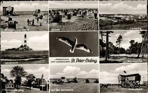 Ak Nordseebad Sankt Peter Ording, Sandbank, Waldpartie, Strandcafé, Leuchtturm, Kurverwaltung, Möwe