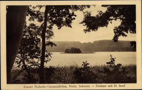 Ak Gremsmühlen Malente in Ostholstein, Dieksee, kleine Insel, Panorama