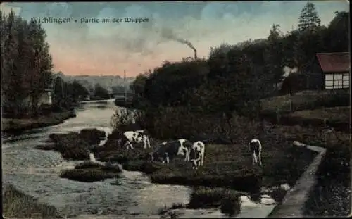 Ak Leichlingen, Wupper, Kühe, Fluss