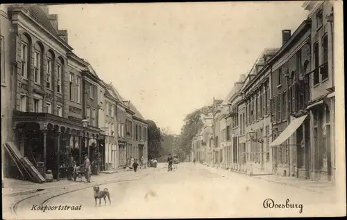 Ak Doesburg Gelderland Niederlande, Koepoortstraat