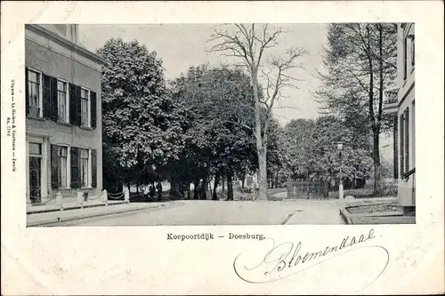 Ak Doesburg Gelderland Niederlande, Koepoortdijk