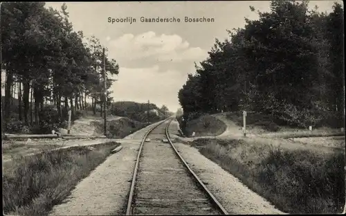 Ak Doetinchem Gelderland, Eisenbahnlinie Gaandersche Bosschen