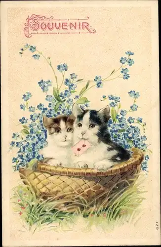 Präge Ak Katzen im Korb, Vergissmeinnicht, Brief