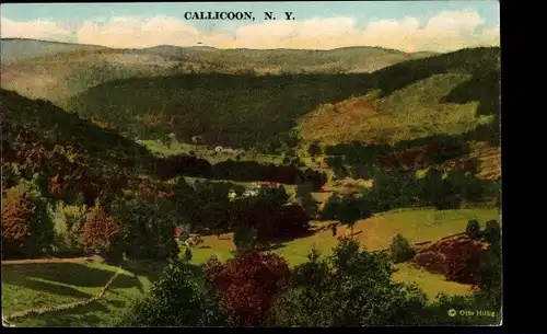 Ak Callicoon New York USA, Panorama