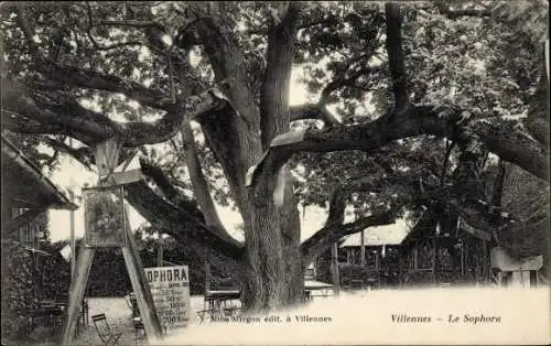 Ak Villennes Yvelines, Le Sophora