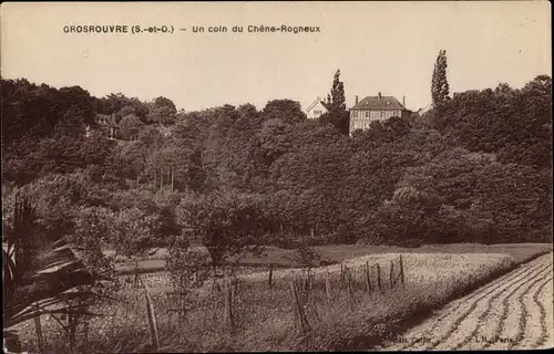 Ak Grosrouvre Yvelines, Eine Ecke der Rogneux-Eiche