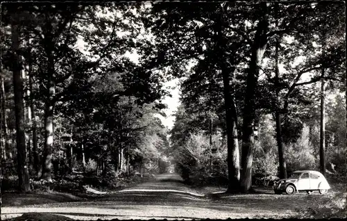 Ak Bourdonne Yvelines, Sous Bois