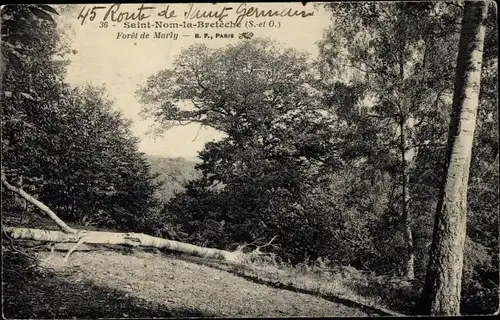 Ak Saint Nom la Bretèche Yvelines, Wald von Marly