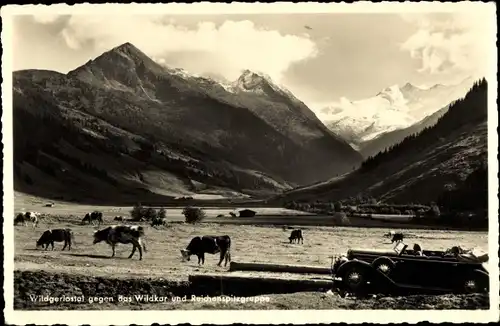 Ak Wildgerlostal Zillertaler Alpen in Salzburg, Wildkar, Reichenspitzgruppe, Kuhweide, Automobil