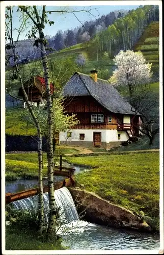 Ak Photochromie, Nenke & Ostermaier Serie 372 Nr 5166, Frühling im Schwarzwald