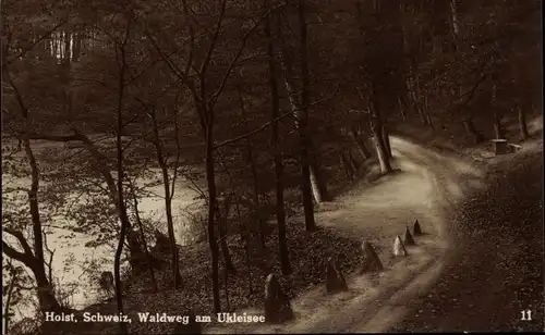 Ak Eutin in Ostholstein, Ukleisee, Uglei See, Panorama, Waldweg, Nachtansicht