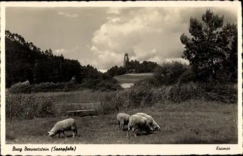 Ak Erlenbach bei Dahn in der Pfalz, Burg Berwartstein, Schafe