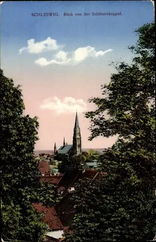 Ak Schleswig, Blick von der Schützenkoppel, Dom