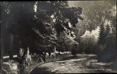 Ak Bad Blankenburg in Thüringen, Schwarzatal