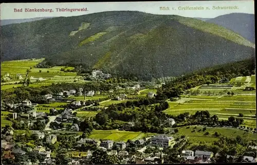 Ak Bad Blankenburg in Thüringen, Blick vom Greifenstein, Schwarzeck