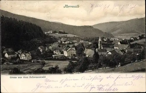 Ak Bad Herrenalb im Schwarzwald, Panorama