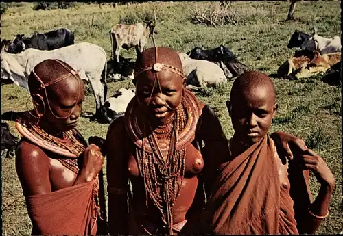 Ak Kenia, Masai Mädchen und Frauen, Rinder