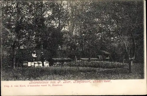 Ak Haarlem Nordholland Niederlande, Beienkolonie P. Bier, Hoofdvoort, Haarl' meer