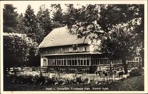 Ak Hain Oybin in der Oberlausitz, Hotel und Gaststätte Forsthaus Hain