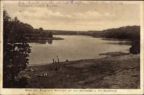 Ak Alt Buchhorst Grünheide in der Mark, Möllensee, Zeugners Waldidyll