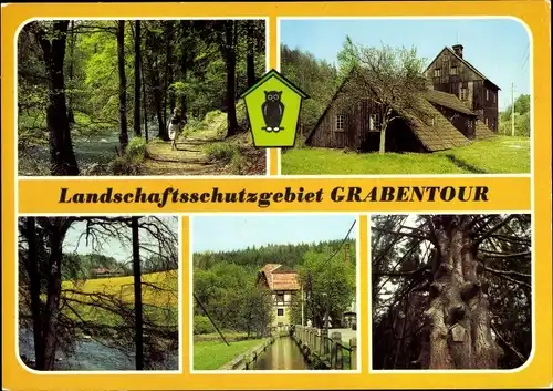 Ak Freiberg in Sachsen, Landschaftsschutzgebiet Grabentour, Bobritzschtal, Lichtloch, Zitzenfichte