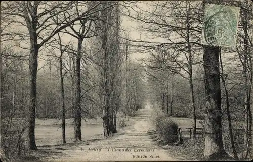 Ak Vélizy Villacoublay Yvelines, Flusskrebsteich